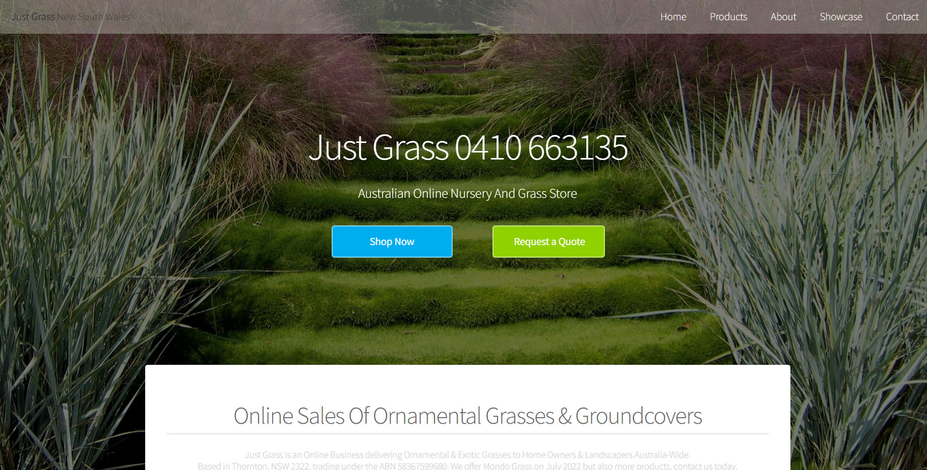 website in rocky point